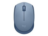 Logitech M171 - Hiiri - oikea- ja vasenkätiselle - optinen - 3 painiketta - langaton - 2.4 GHz - USB johdoton vastaanotin - sininen/harmaa 910-006866