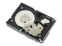 Dell - Asiakaspaketti - kiintolevyasema - 12 Tt - sisäinen - 3.5" - SATA 6Gb/s - 7200 kierrosta/min malleihin PowerEdge T330 (3.5"), T430 (3.5") 400-AUTM