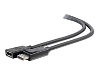 C2G 3ft DisplayPort Extension Cable - DisplayPort 1.4 - 8K UHD - M/F - DisplayPort-jatkojohto - DisplayPort (uros) to DisplayPort (naaras) - DisplayPort 1.4 - 91.4 cm - 8K tuki 54450