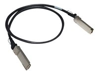 HPE - 100GBase direct attach cable - QSFP28 to QSFP28 - 50 cm R8M59A