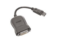 Lenovo - DVI kaapeli - yksinkertainen yhteys - DisplayPort (uros) to DVI-D (naaras) - 20 cm - harmaa 45J7915