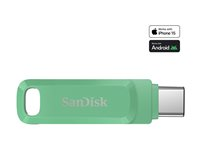 SanDisk Ultra Dual Drive Luxe - USB Flash-asema - 256 Gt - USB 3.2 Gen 1 / USB-C - absintinvihreä SDDDC3-256G-G46AG