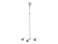 Compulocks Medical Rolling Cart - VESA Compatible - Teline malleihin tabletti - valkoinen - lattialla seisova malleihin Compulocks Medical Rolling Cart - VESA Compatible MCRSTDW